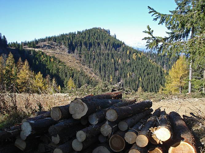 32 Letzter Blick zum Schwarzkogel